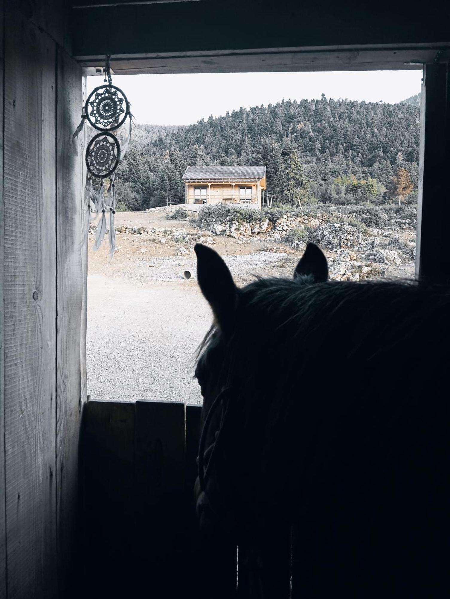 The Farmhouse Витина Экстерьер фото