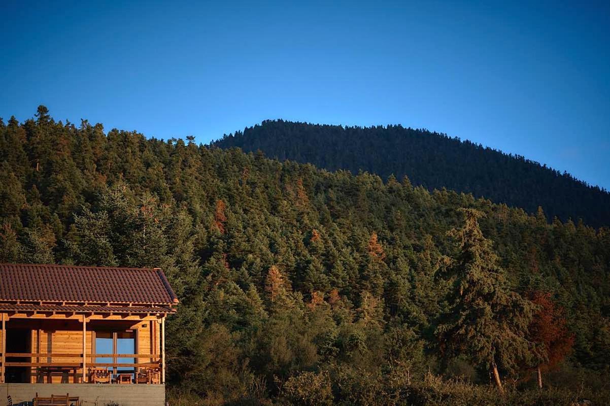 The Farmhouse Витина Экстерьер фото