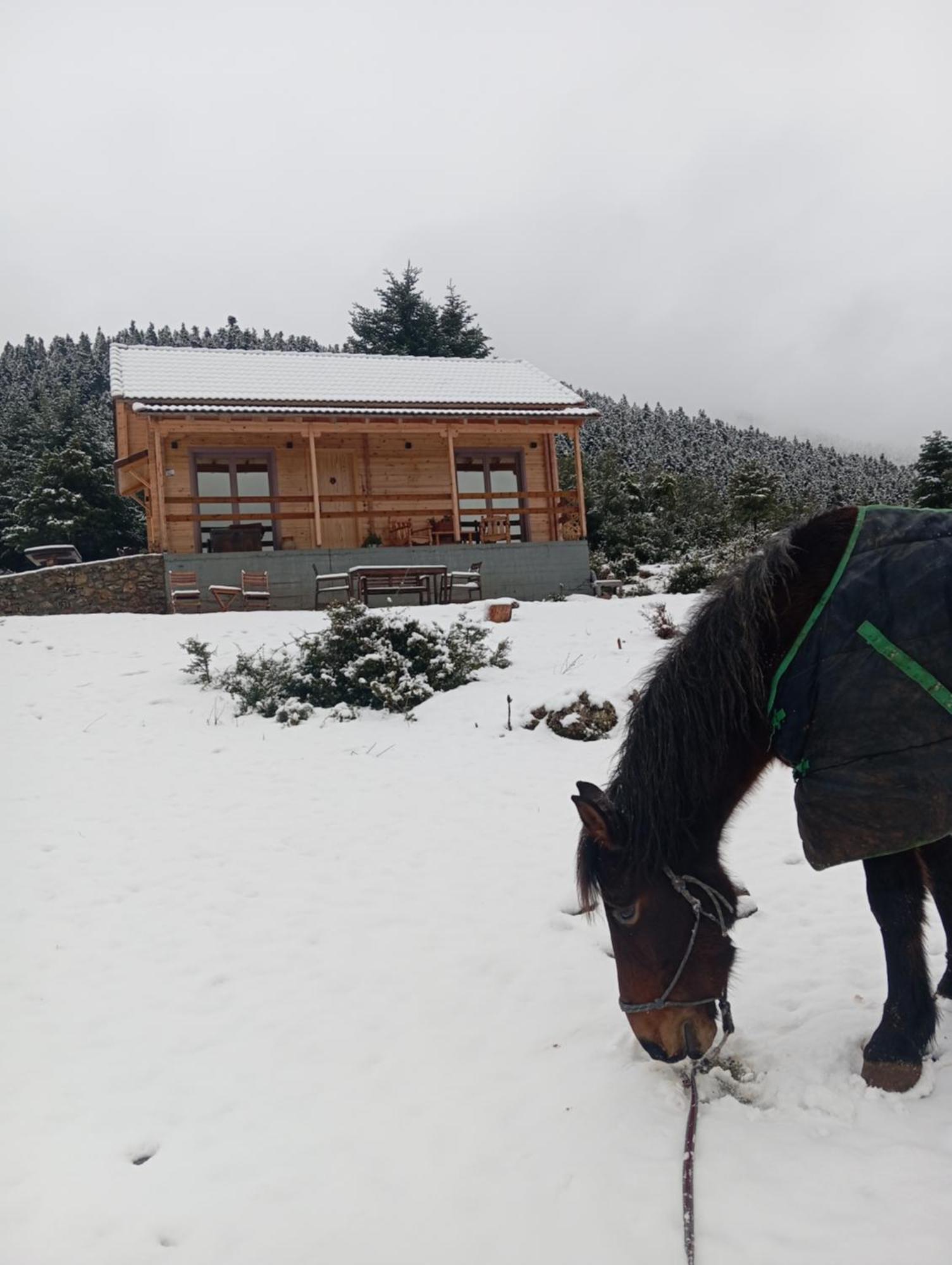 The Farmhouse Витина Экстерьер фото